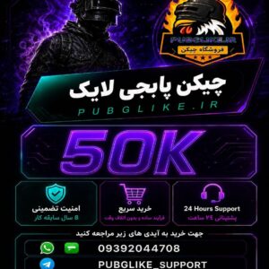 خرید چیکن پابجی موبایل